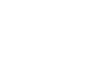 Flava Wings
